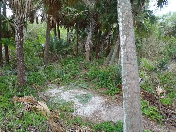 Highland Beach Picture 5