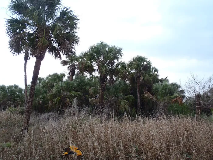 Highland Beach Picture 7