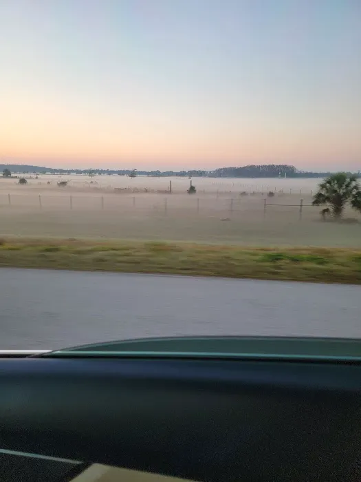 Highland Beach Picture 8