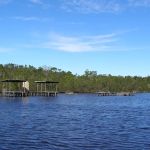 Harney River Chickee