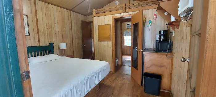 Encore Miami Everglades Picture 3