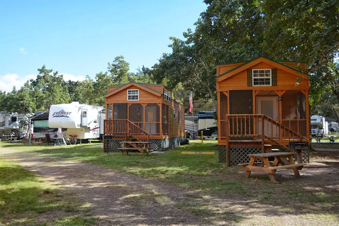 Encore Miami Everglades Picture 4