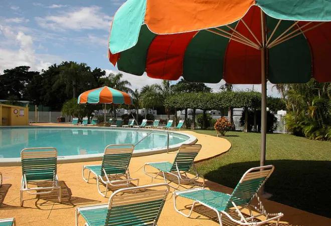 Encore Miami Everglades Picture 8