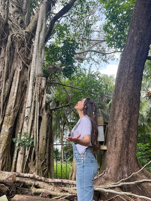 Camp Freedom Picture 9