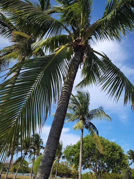 Boca Chita Key Campground Picture 8