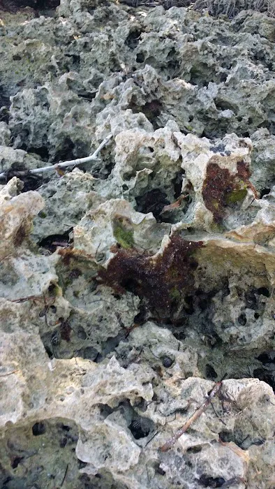 Elliott Key Campgrounds Picture 6