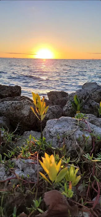 Elliott Key Campgrounds Picture 8