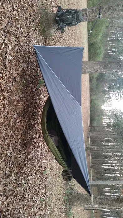 Forestry Department Picture 3