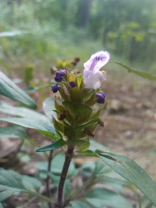 Marathon Campground Picture 2