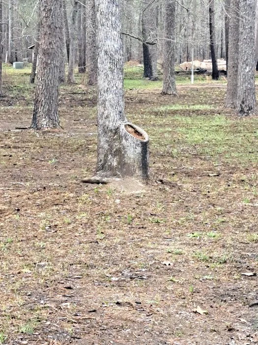 Marathon Campground Picture 6