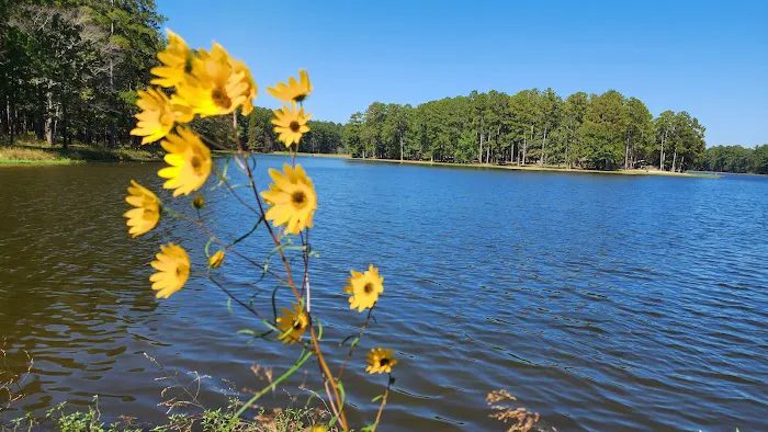 Marathon Campground Picture 10