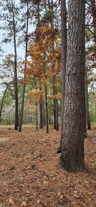 Marathon Campground Picture 8