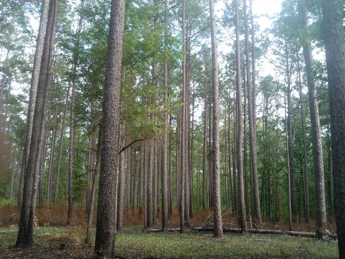 Marathon Campground Picture 9