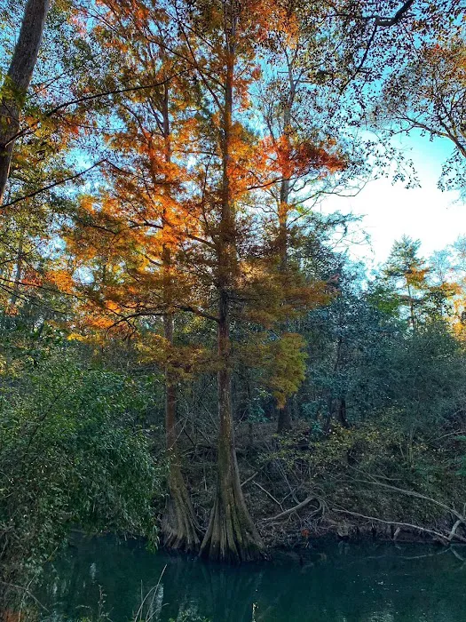 Little River Bluffs - A Nature Preserve & Retreat Picture 7