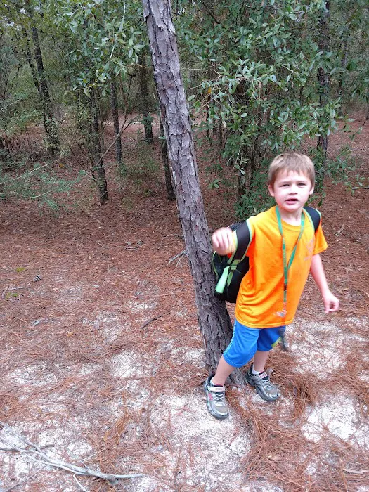 5 Lakes BOYSCOUT ONLY Campground Picture 6