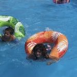 Hidden Oaks Campground