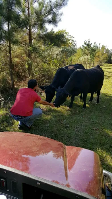 Sweetwater RV Ranch & Riding Stables Picture 4