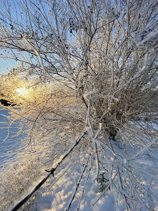 Silver Creek Campground Picture 3