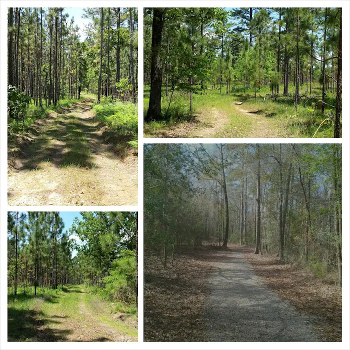 sandy hollow campground Picture 5