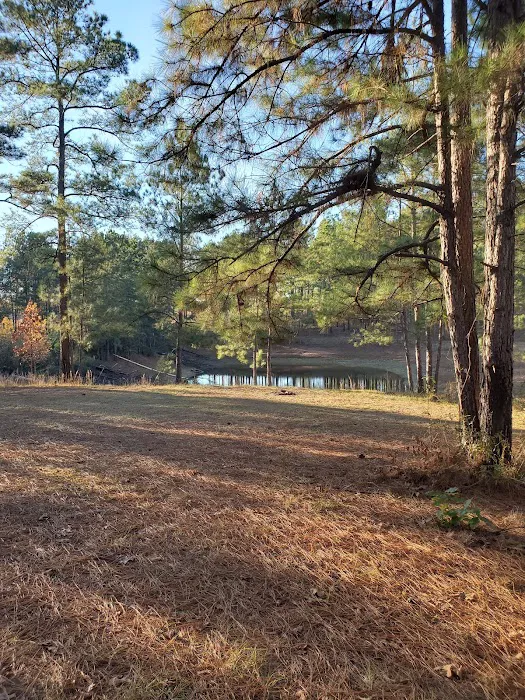 sandy hollow campground Picture 10