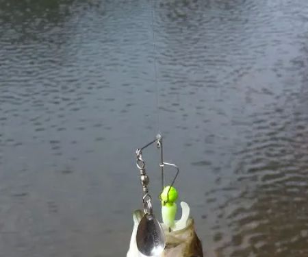 sandy hollow campground