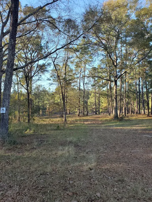 sandy hollow campground Picture 9