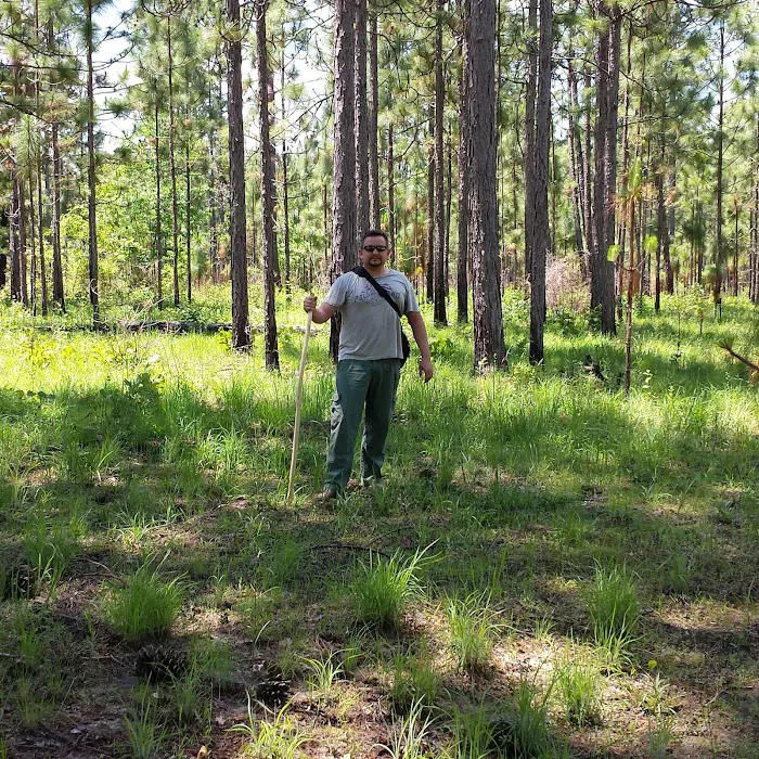 sandy hollow campground Picture 6