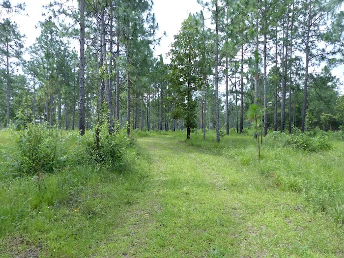 sandy hollow campground Picture 3