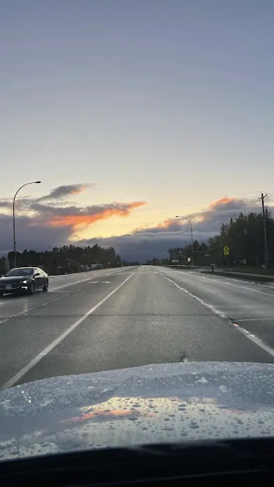 Forestry Department Picture 1