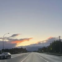 Forestry Department ico