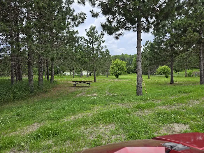 Daisy lake RV Campground Picture 9