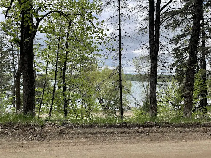 McGregor's Tree Patch RV Park & Campground Picture 1