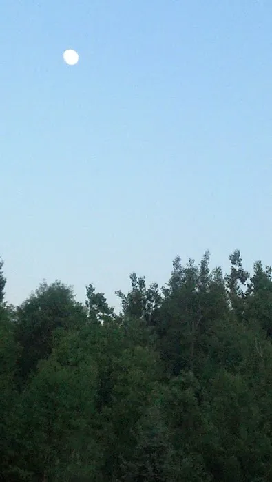 Akeley City Park & Campground Picture 5