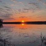 Little Moose Cabin Vacation Rental