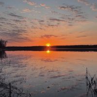 Little Moose Cabin Vacation Rental ico
