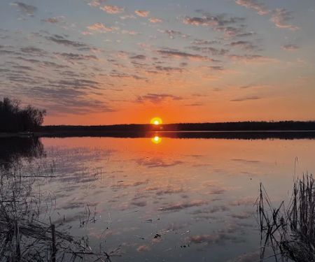 Little Moose Cabin Vacation Rental