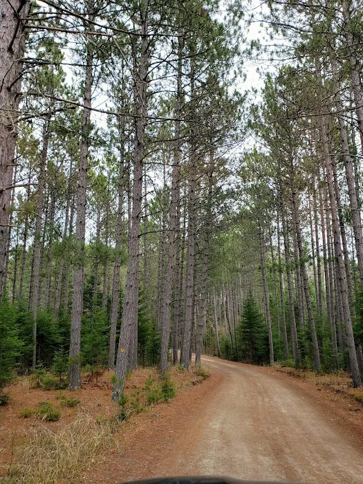 Cottonwood Lake Campground Picture 10