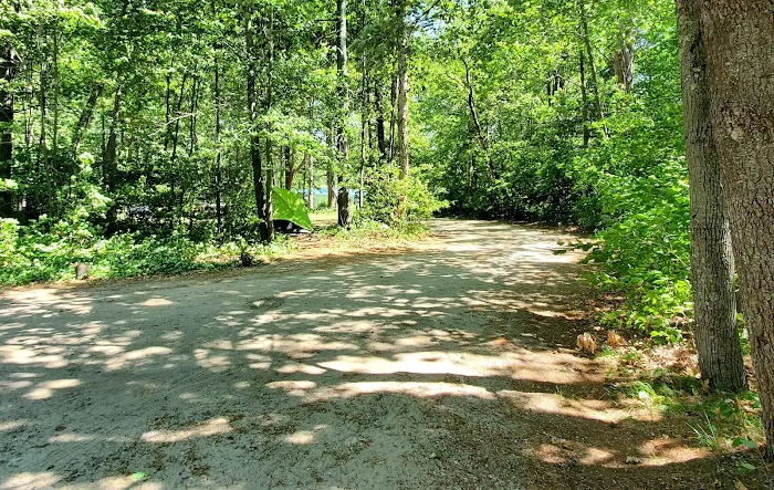 Williams Narrows campground Picture 7