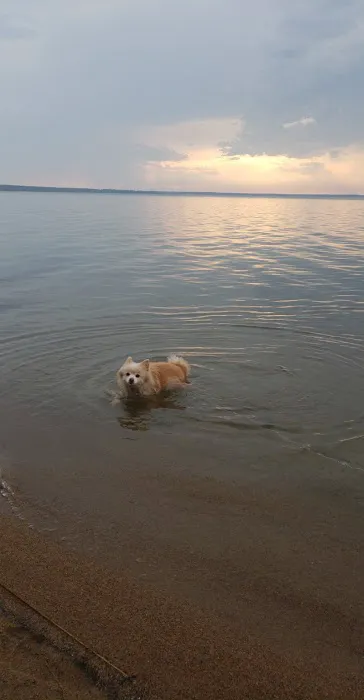 Wanaki Campground Loop Picture 3