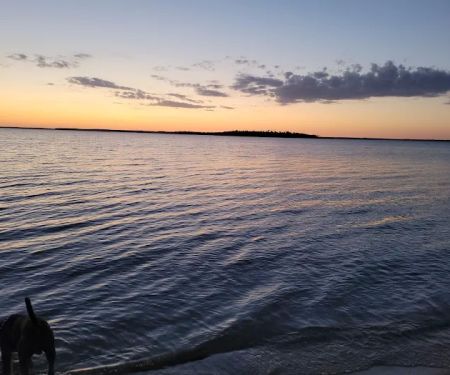 Wanaki Campground Loop