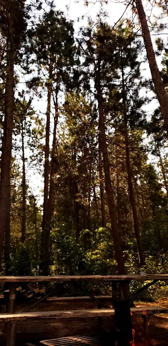 Wanaki Campground Loop Picture 9