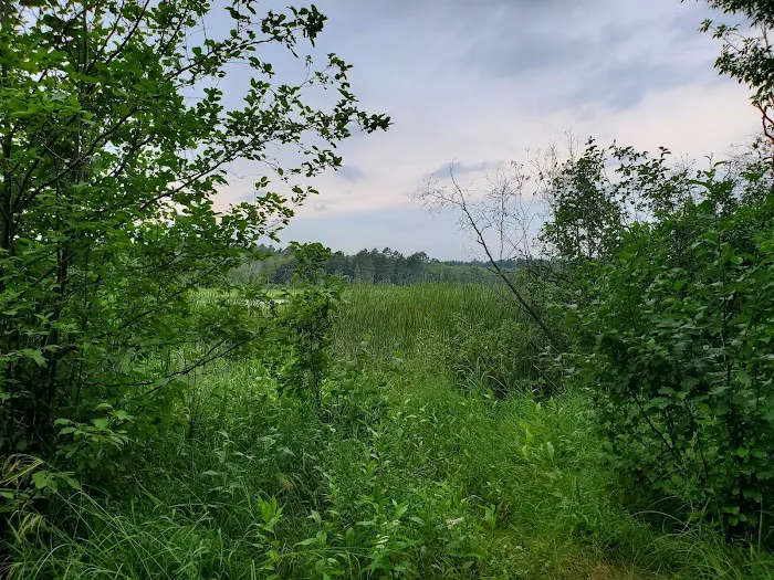Mosomo Point Campground Picture 1