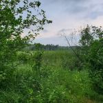 Mosomo Point Campground