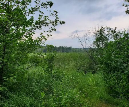 Mosomo Point Campground