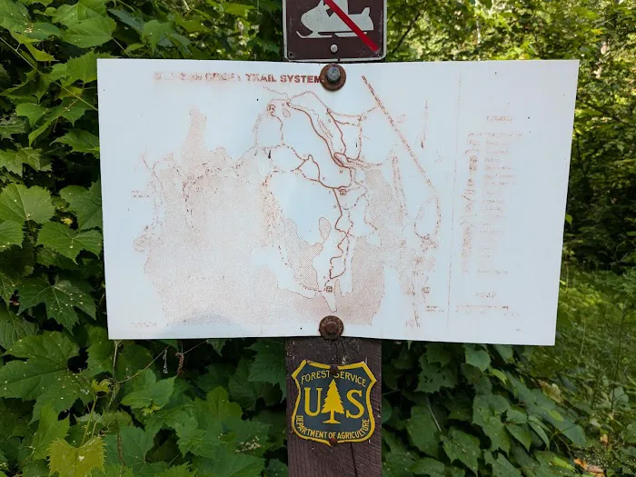 East Seelye Bay Campground Picture 9