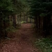 Norway Beach Picnic Shelter (recgovnpsdata) ico