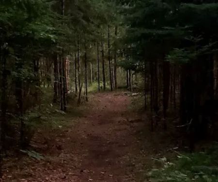 Norway Beach Picnic Shelter (recgovnpsdata)