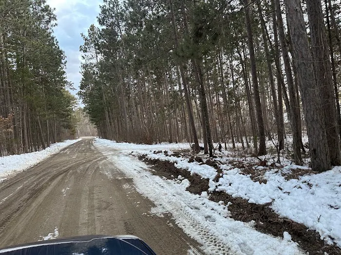 Ojibway Campground Picture 3