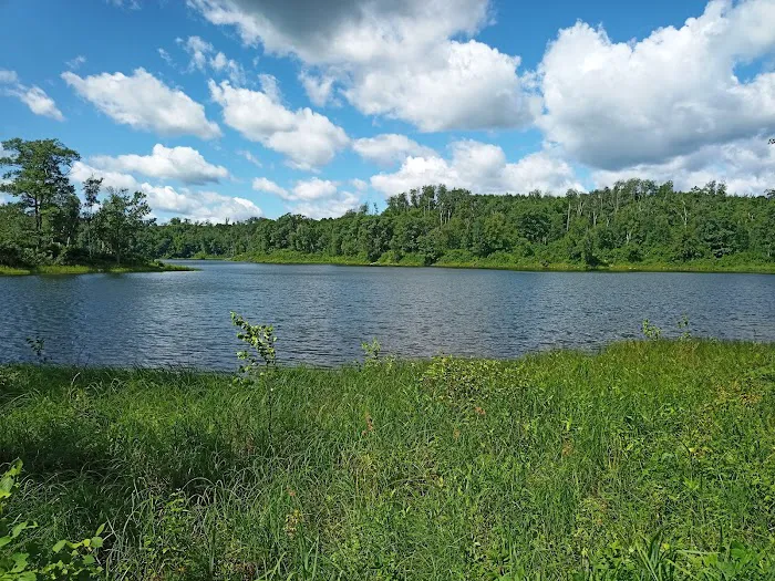 Gulch Lake Campground Picture 6