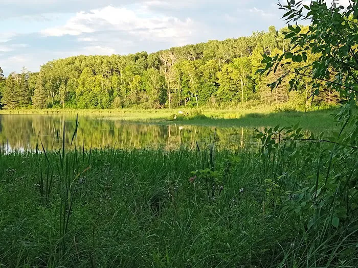 Gulch Lake Campground Picture 5